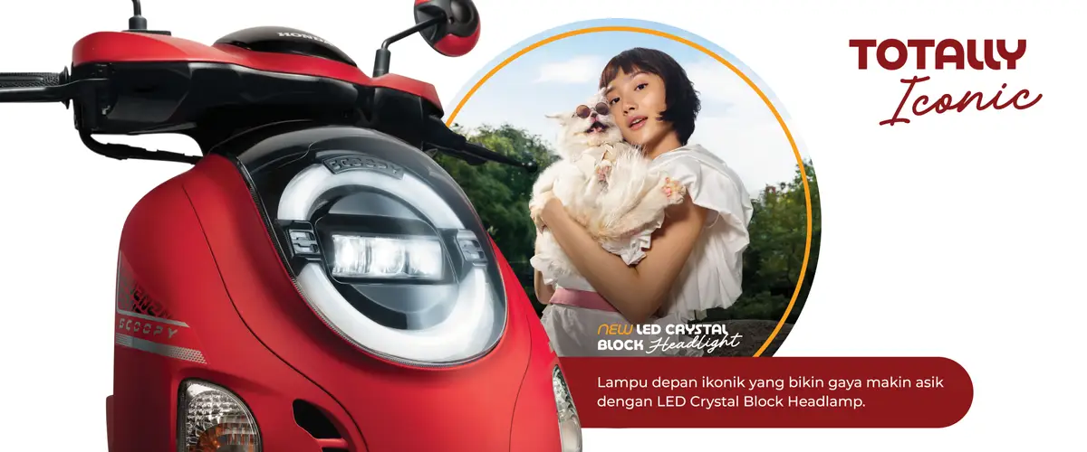 slide-54-1920x800px-05112024-031452